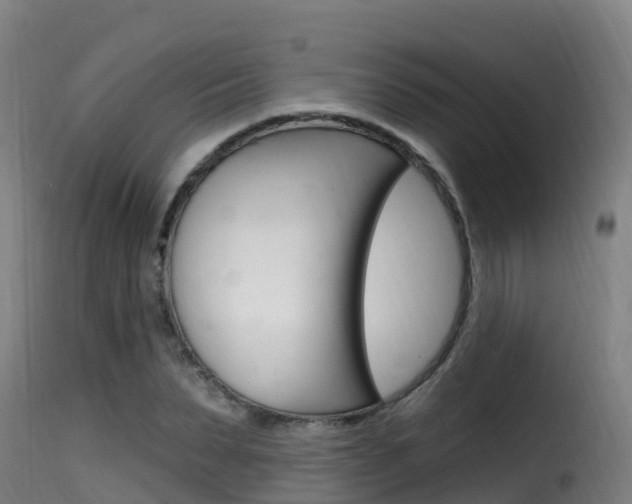 X0000116110879200911230952