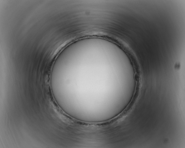 X0000116110881200911230952