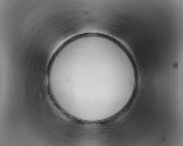 X0000116110887200911230952