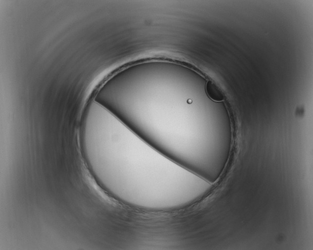 X0000116110888200911230952