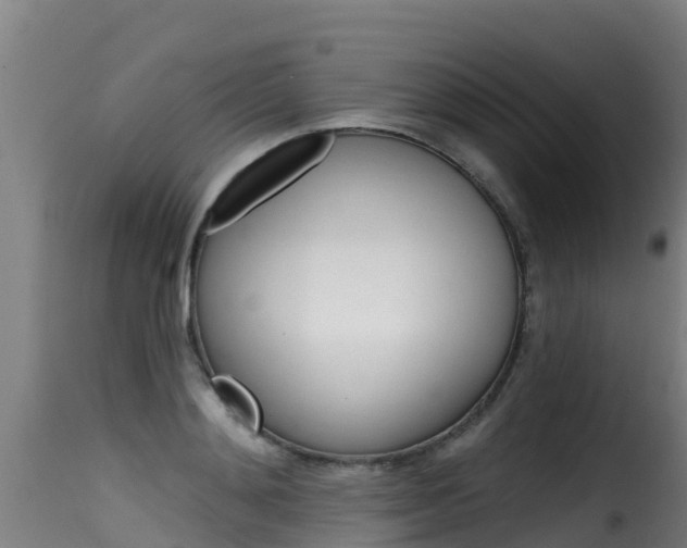 X0000116110892200911230952