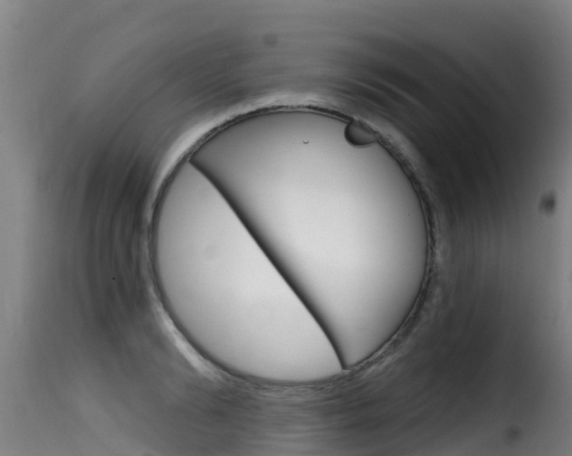 X0000116110894200911230952