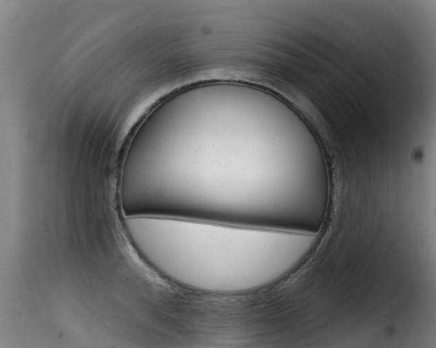 X0000116110896200911230952