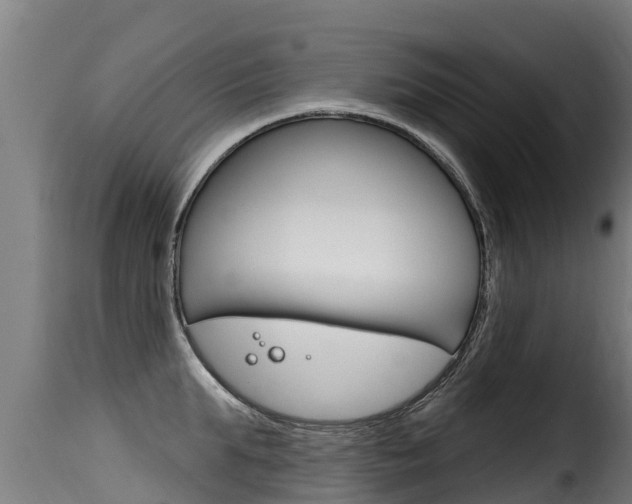 X0000116110903200911230952