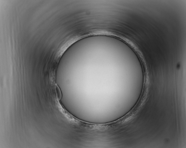 X0000116110905200911230952