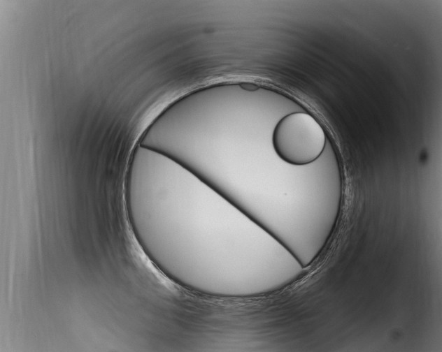 X0000116110906200911230952