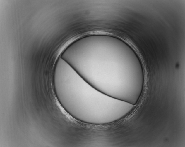 X0000116110909200911230952