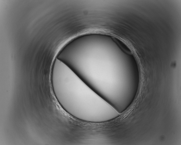 X0000116110912200911230952