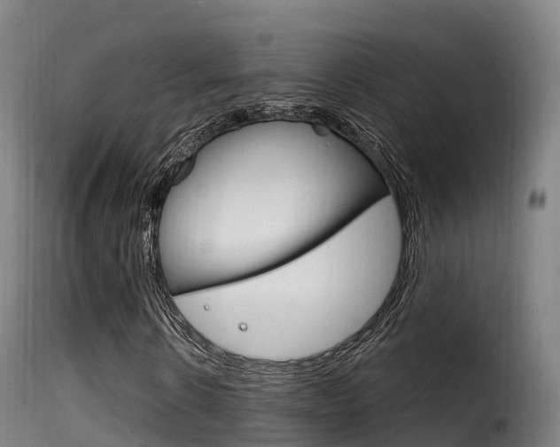 X0000116110914200911230951