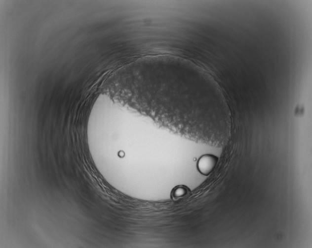X0000116110915200911230951