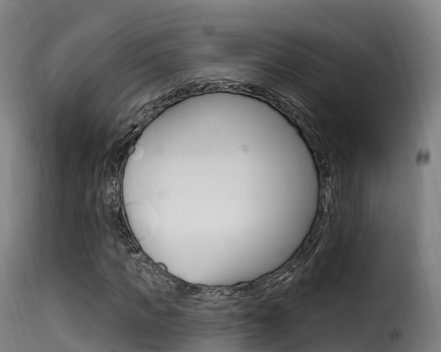 X0000116110917200911230951