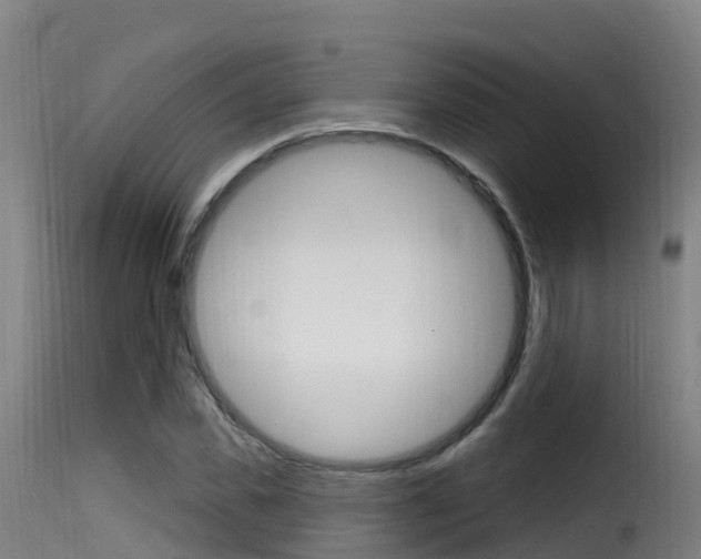 X0000116110925200911230951