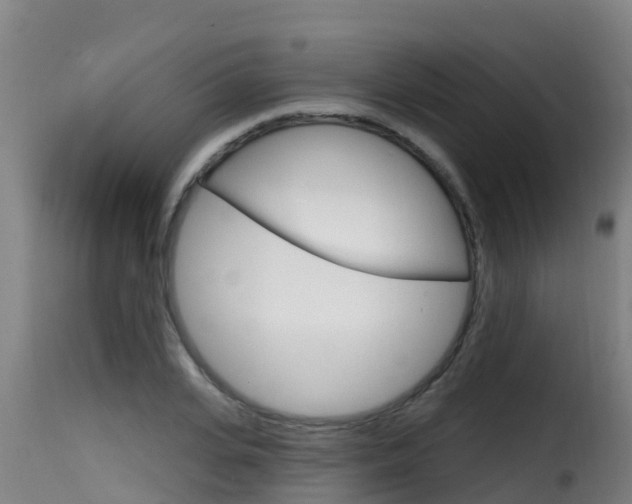 X0000116110935200911230952
