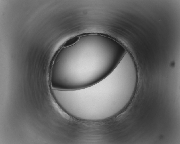 X0000116110942200911230952