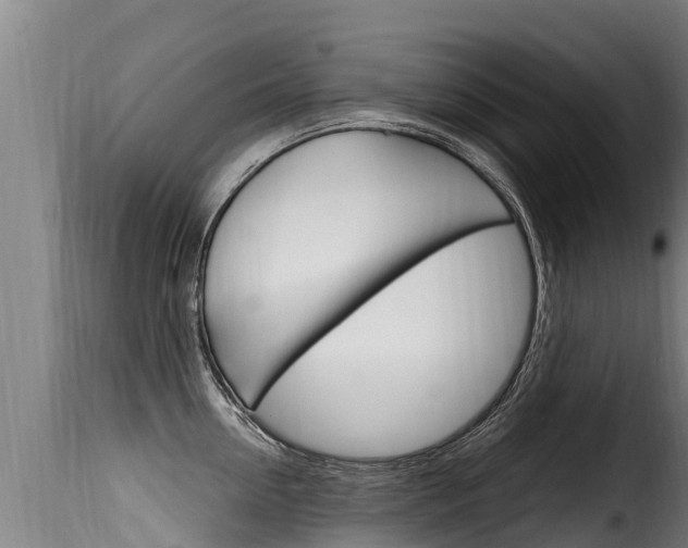 X0000116110954200911230952