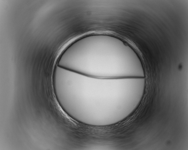 X0000116110959200911230952