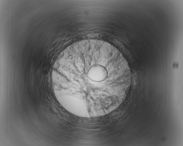 X0000116110962200911230951