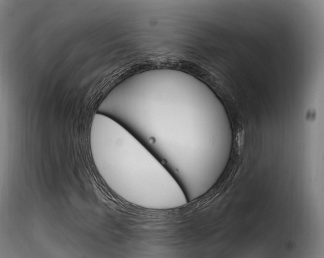 X0000116110963200911230951