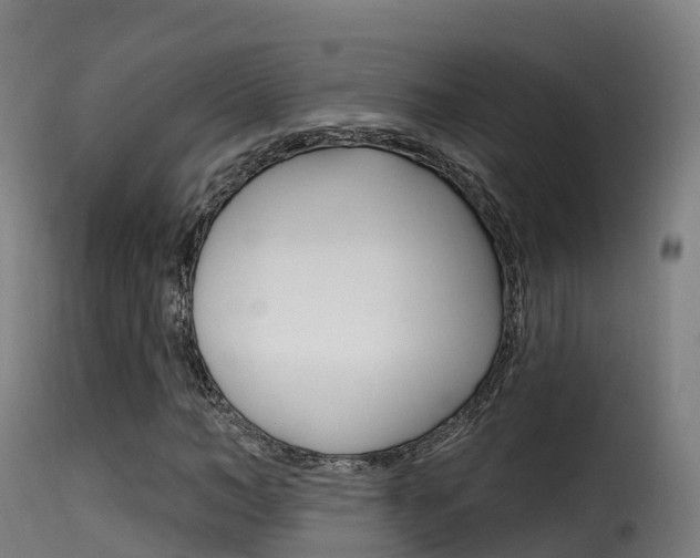 X0000116110966200911230951