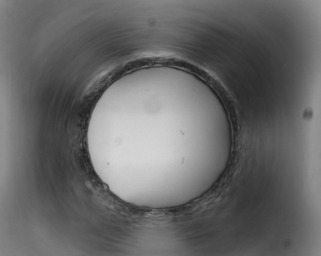 X0000116110967200911230951