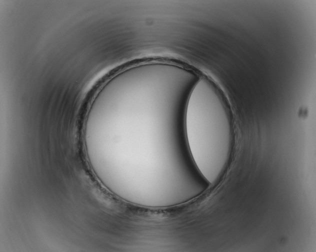 X0000116110975200911230951