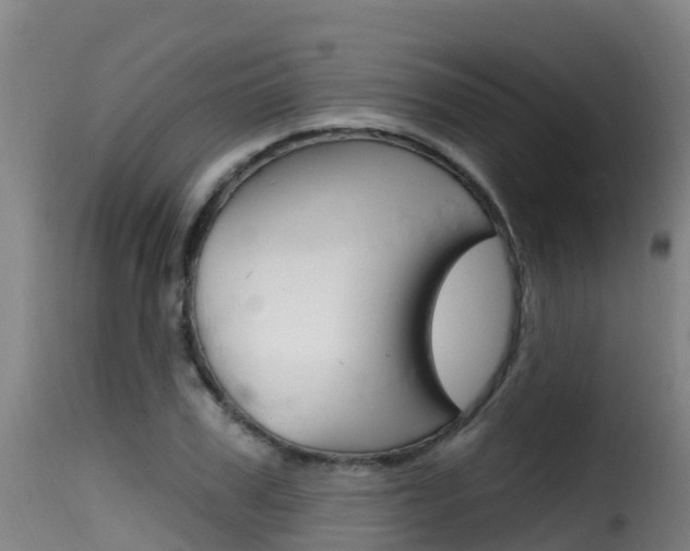 X0000116110979200911230951