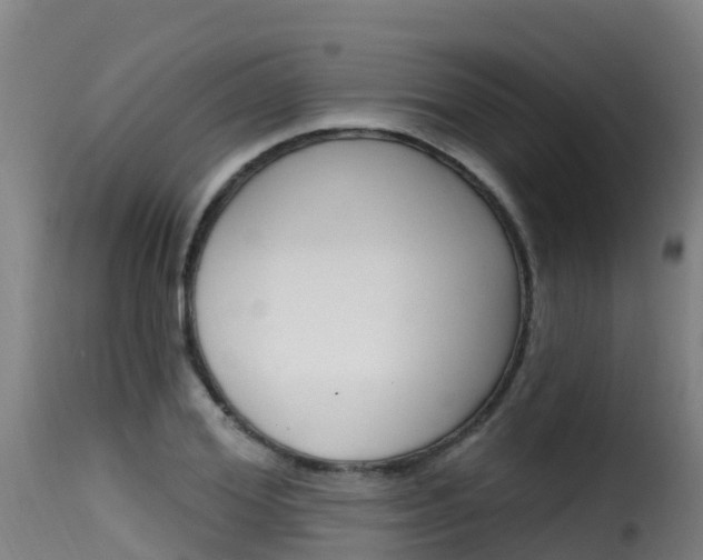 X0000116110980200911230951