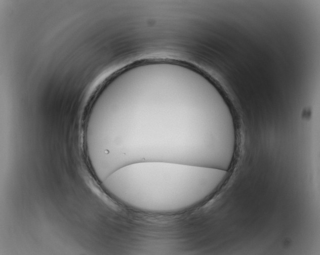 X0000116110982200911230951
