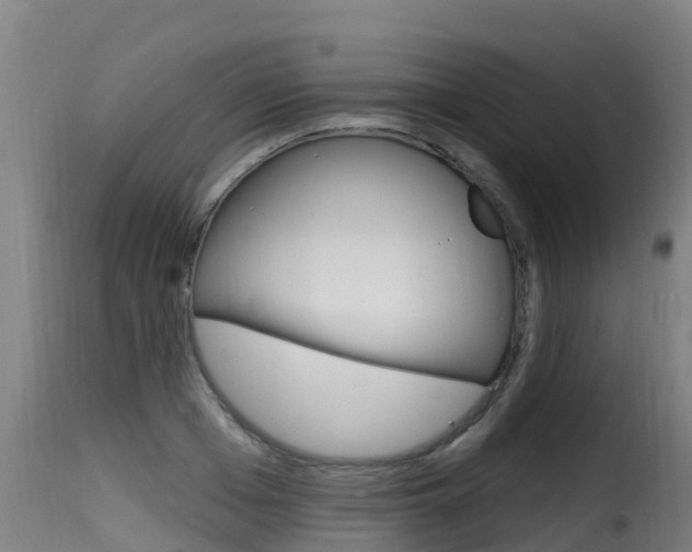 X0000116110985200911230951