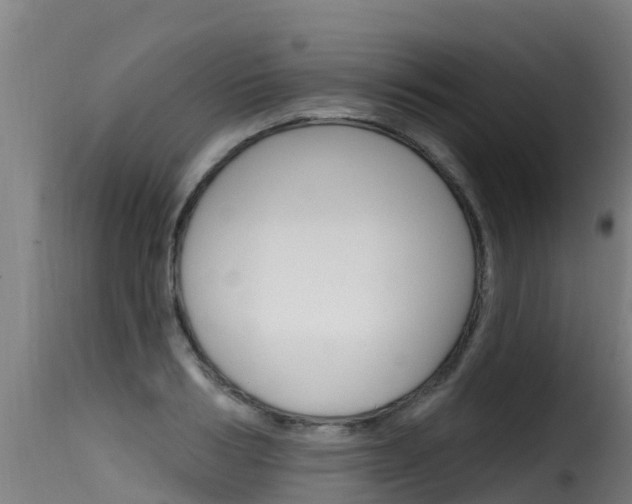 X0000116110986200911230951