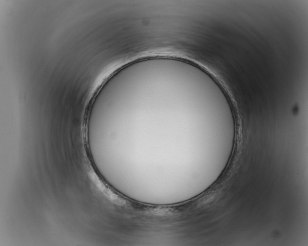 X0000116110998200911230951
