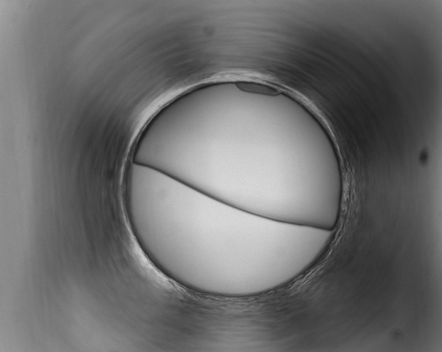 X0000116111003200911230950
