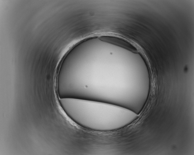 X0000116111005200911230950