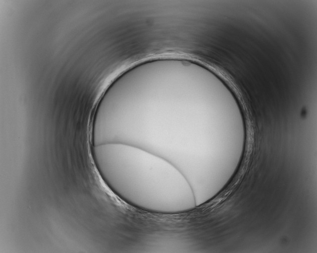 X0000116111006200911230950