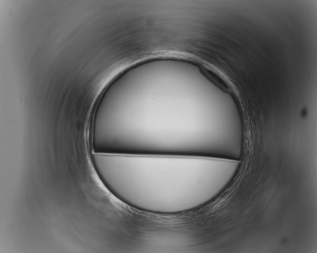 X0000116111007200911230950