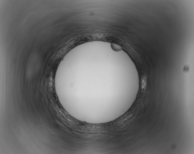 X0000116111011200911230950