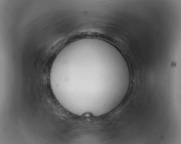 X0000116111014200911230950