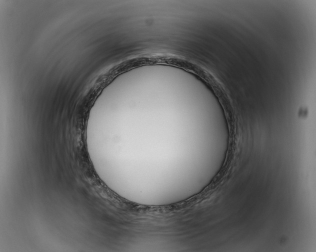 X0000116111016200911230950