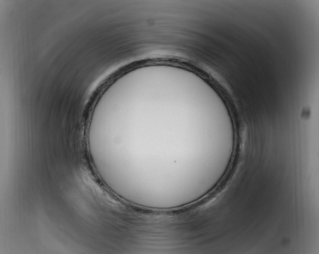 X0000116111021200911230950