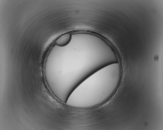 X0000116111022200911230950