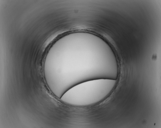X0000116111023200911230950