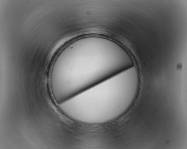 X0000116111024200911230950