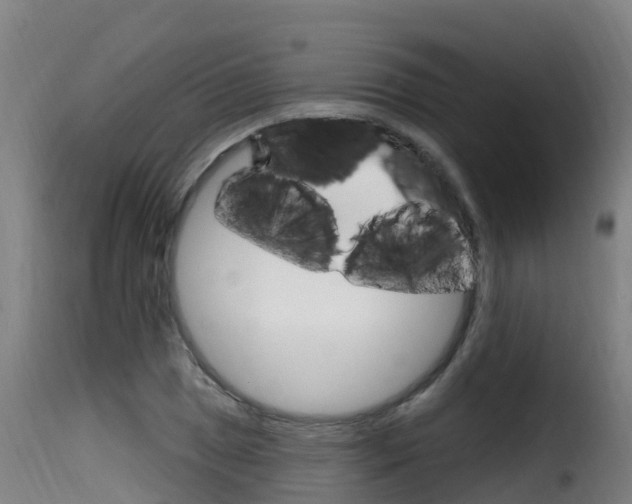 X0000116111025200911230950