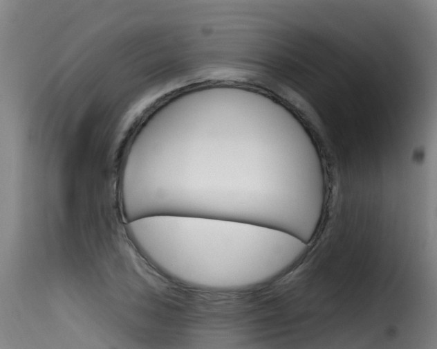 X0000116111027200911230950