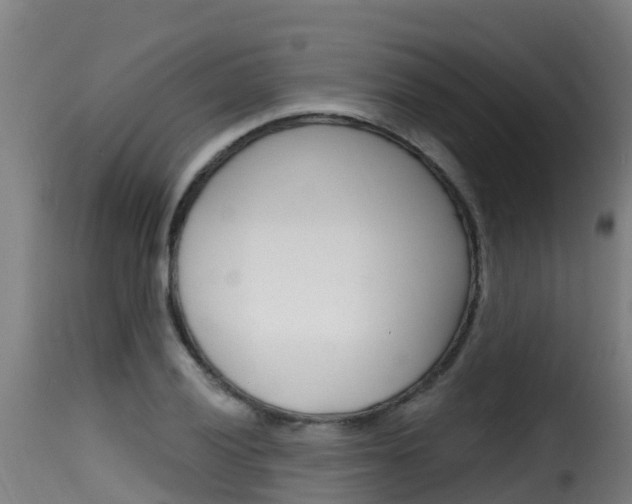X0000116111028200911230950