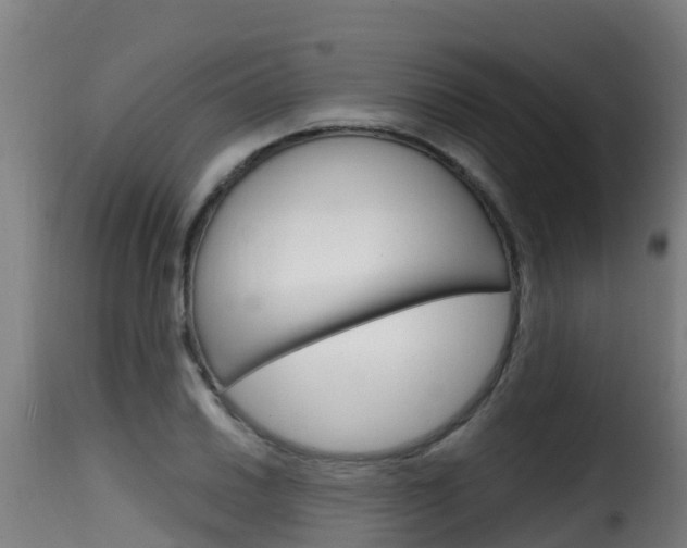 X0000116111030200911230950