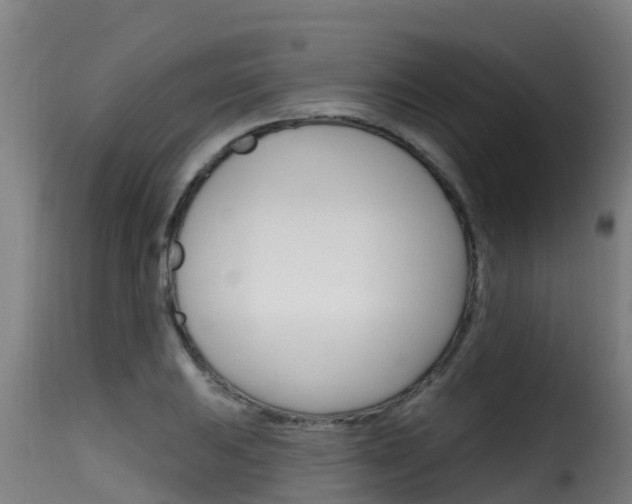 X0000116111031200911230950
