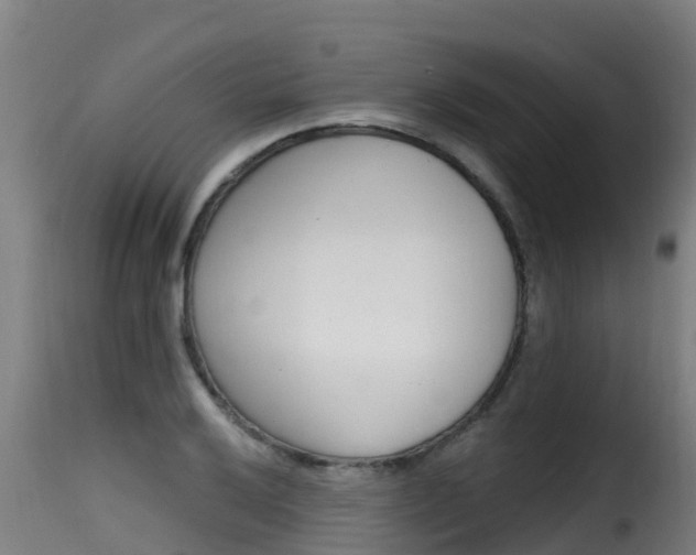 X0000116111032200911230950