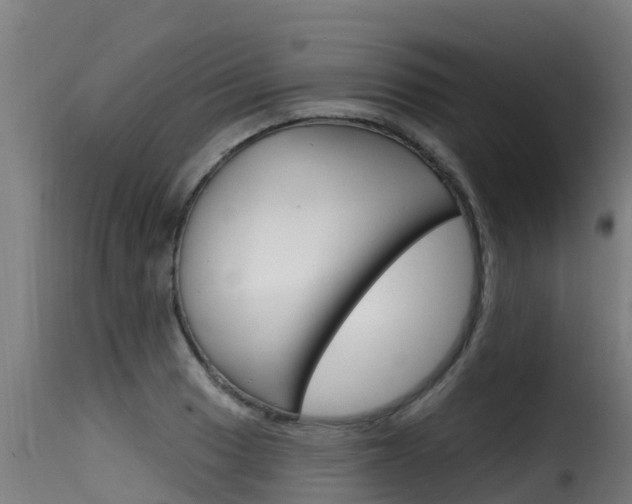 X0000116111033200911230950