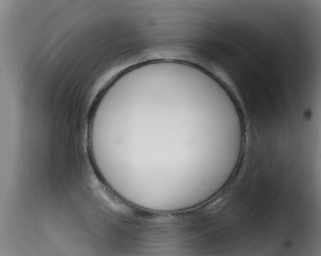 X0000116111035200911230950